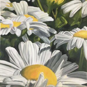 Daisies - 12 x 12 oil on canvas