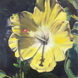 Hibiscus - 12 x 12 oil on canvas