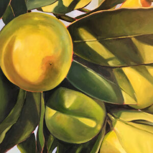 Fruit tree - 24 x 36 oil on canvas
