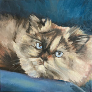 Whiskers - 10 x 10 oil on canvas
